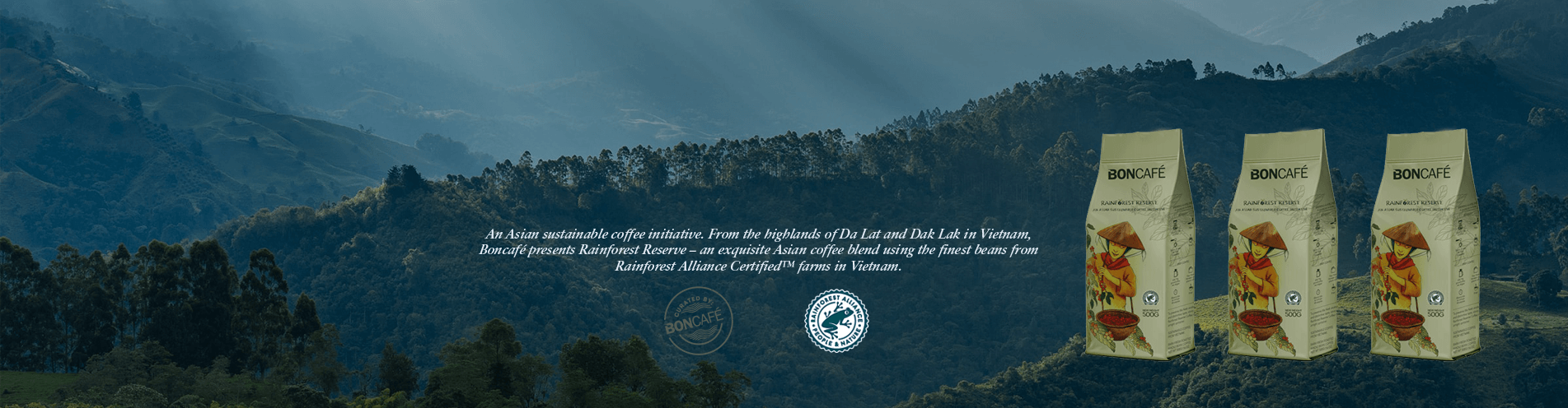 BCVN Web Banner Rainforest